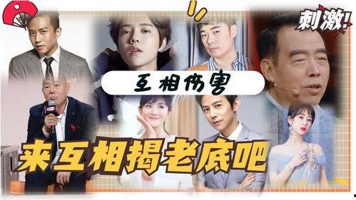 明星趣事最新爆料,揭秘娱乐圈最新爆笑瞬间  第1张